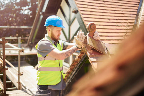 Best Roof Gutter Cleaning  in Georgetown, SC